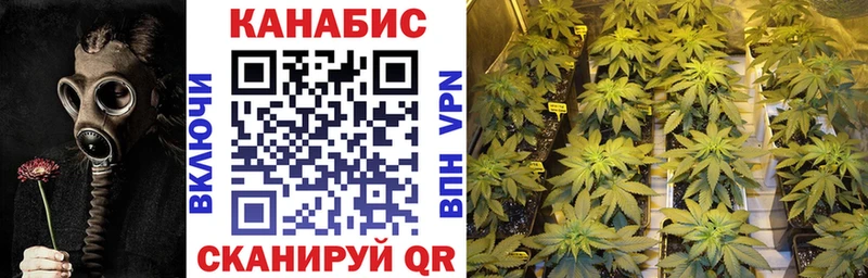 Бошки марихуана SATIVA & INDICA  Сретенск 